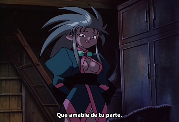 Tenchi Muyo! The Night Before the Carnival (?)